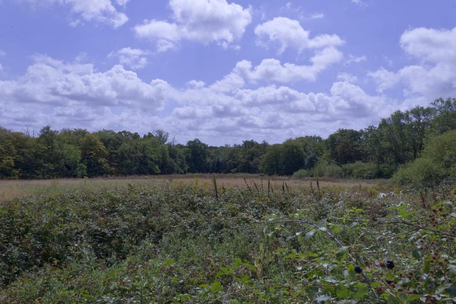 Fields and country footpaths near Monkhurst House