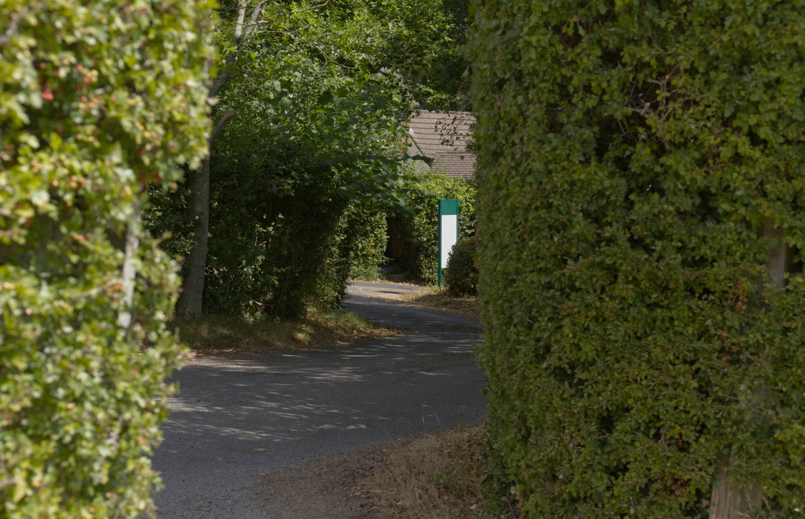 The private drive to Monkhurst House with farmland views